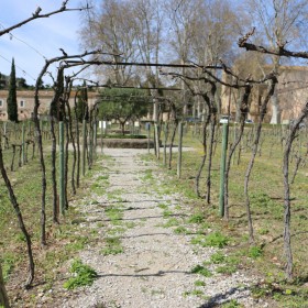 Valmagne-VuPasserelle